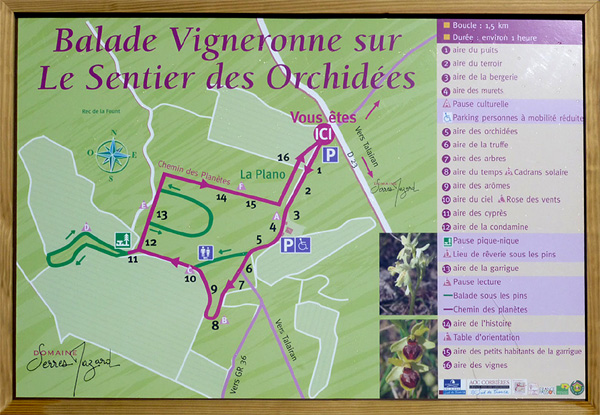 Sentier des orchidées