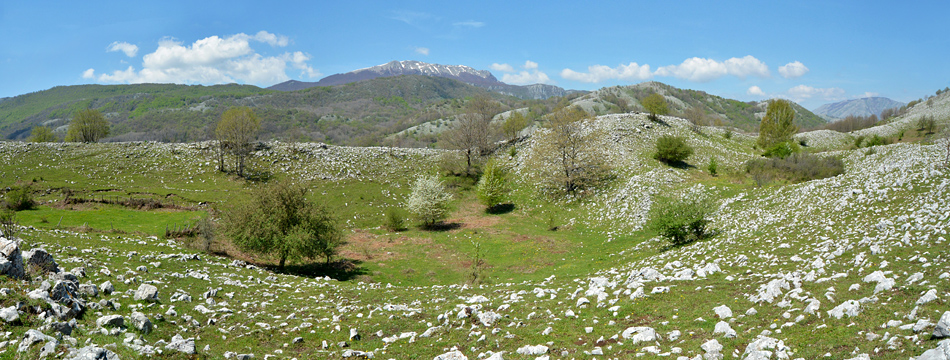 Valle delle orchidee (Sassano)