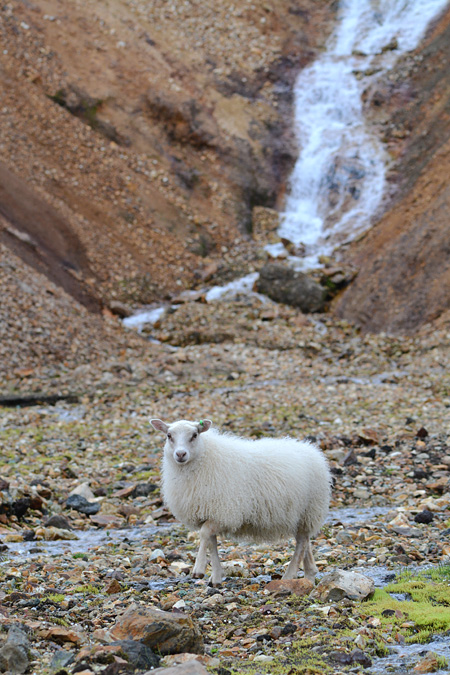 Landmannalaugar