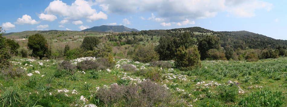 Paysage du Gargano